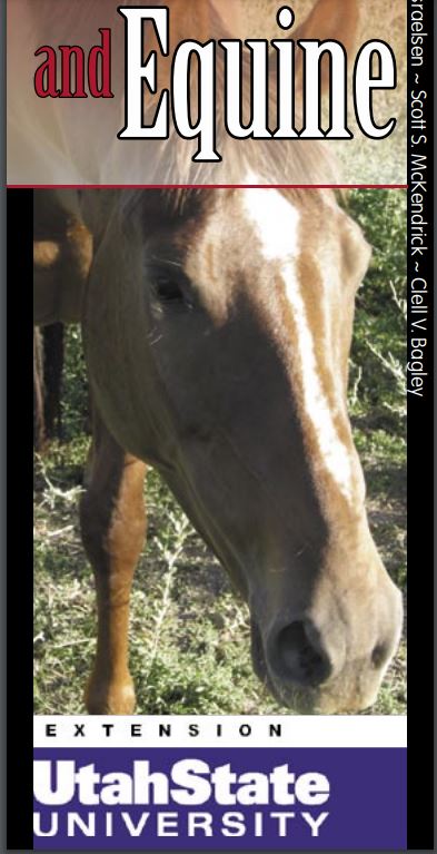equine brochure