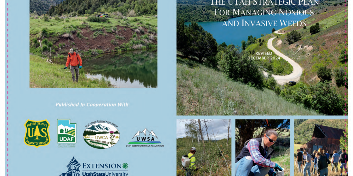 Cover of the Utah weeds strategic plan